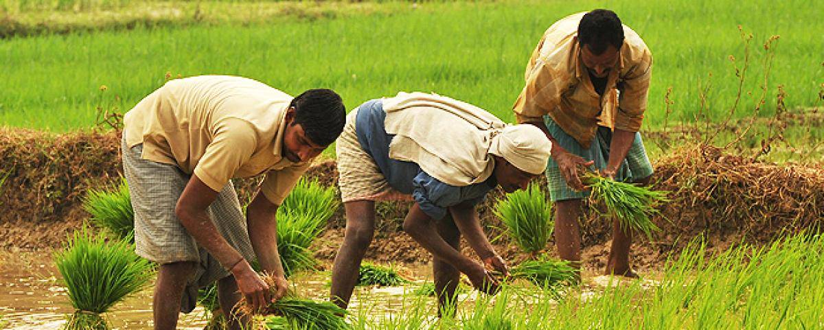 Farmer’s Union say Tamil Nadu Agri Budget is a Mix of Welcome ...