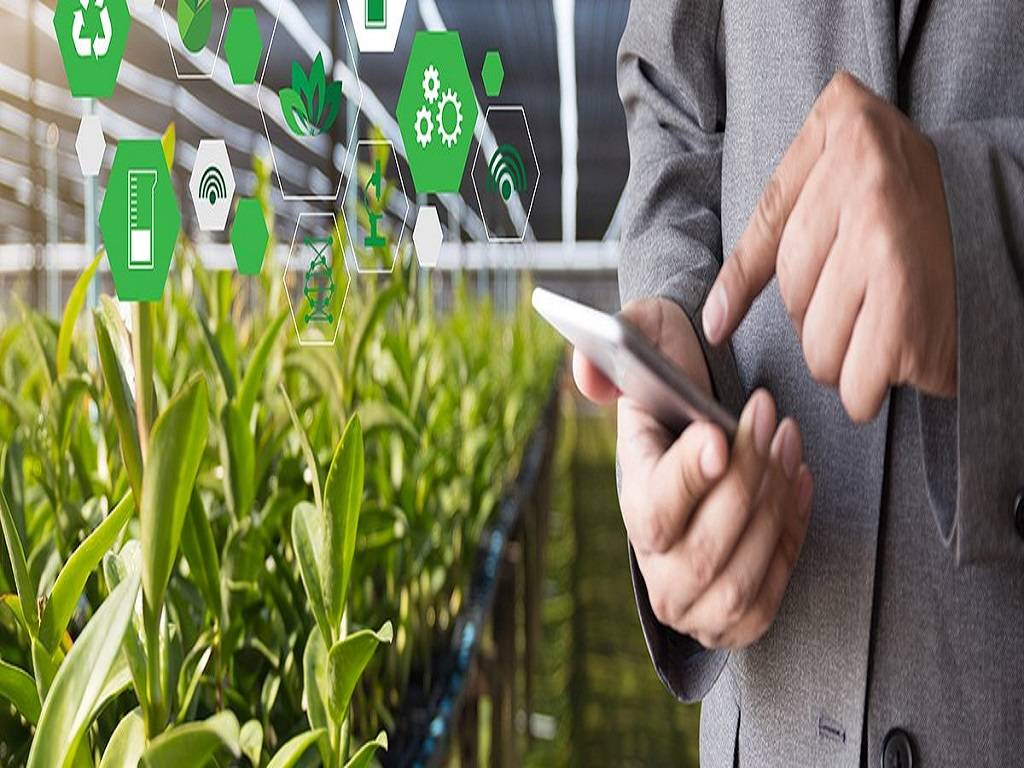 Smart Farms: A Step To Revolutionize Agri Sector With Revamping 