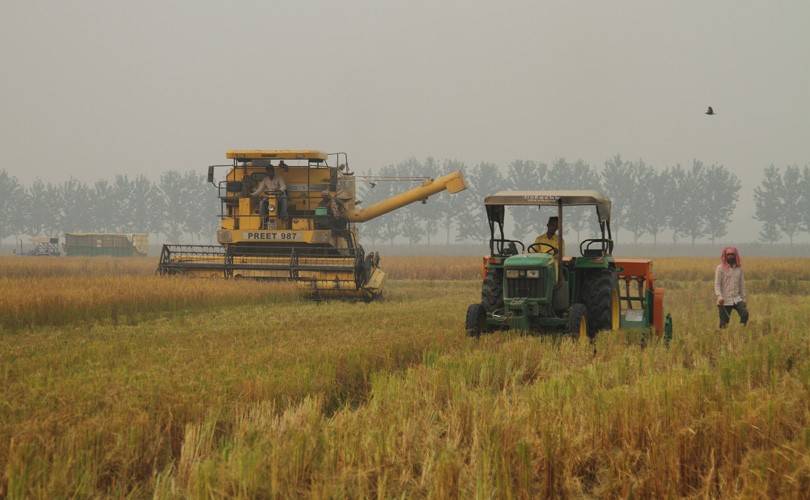 Wheat Fields of Punjab