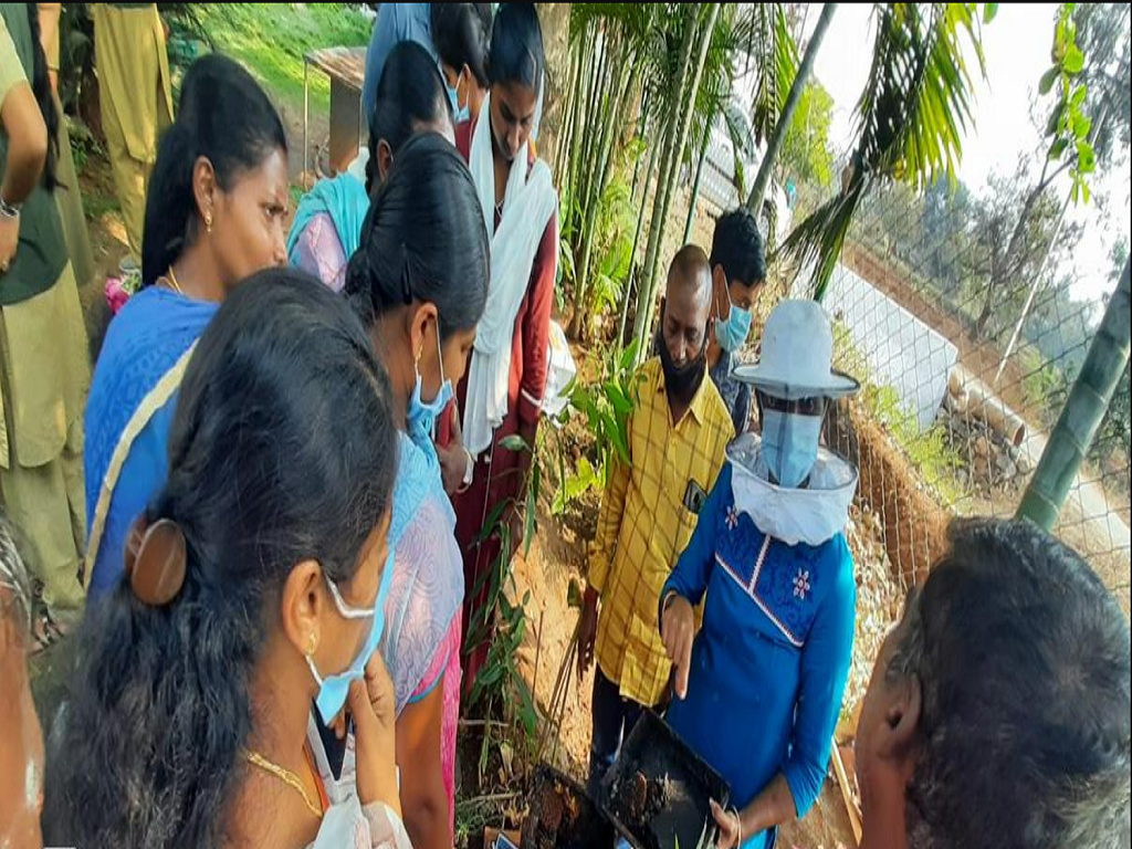 Women Farmers getting training on stingless beekeeping