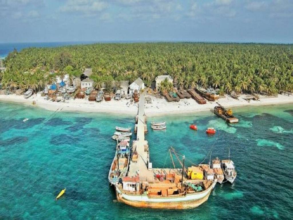 Rare Plant species found in Lakhshadweep Islands