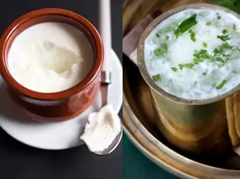 Buttermilk Vs Curd: Know the Difference & Which is More Healthy
