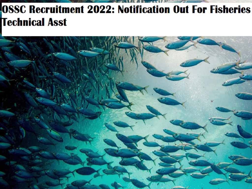 OSSC Recruitment released notification for fisheries recruitment