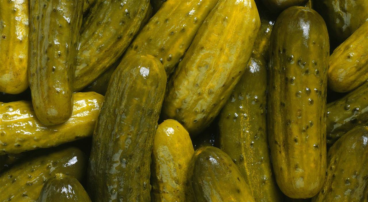 What are Gherkins and How are they Related to Cucumbers?