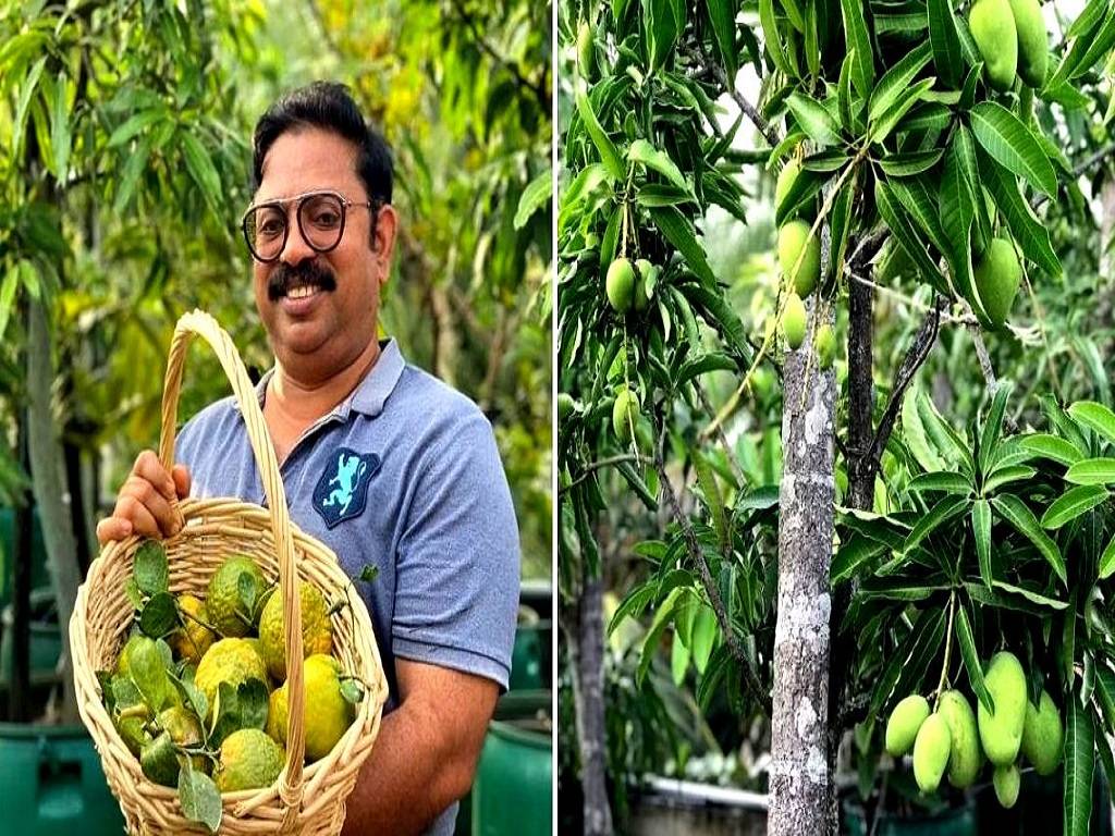 He decided to grow the trees in plastic drums instead. He now has a fruit orchard of 250 trees, 135 of which grow in drums.