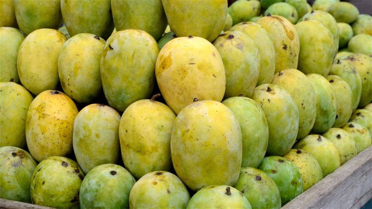 Mangoes