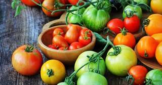 World Tomato Day Quiz!