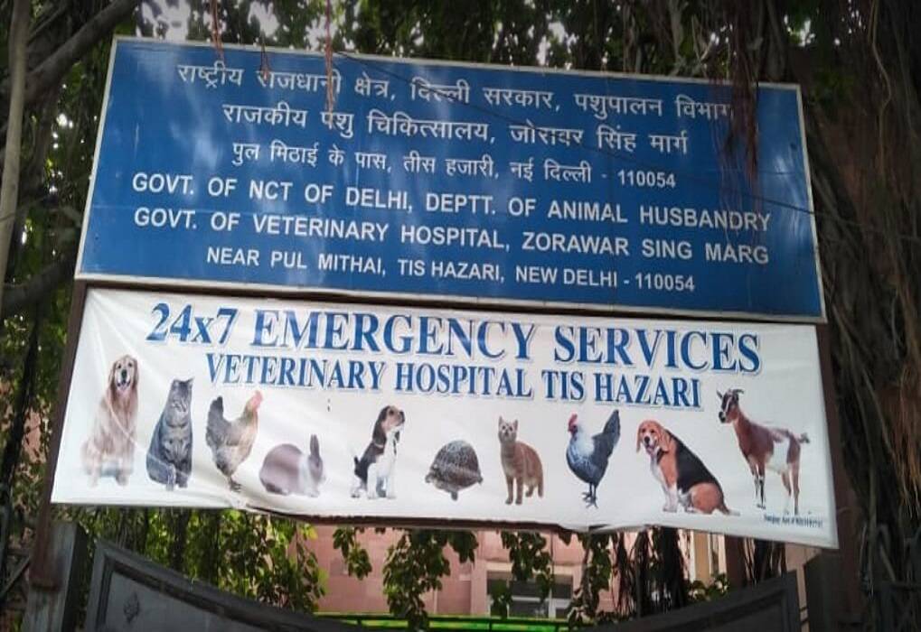 Good News for Livestock Farmers! This Government Veterinary Hospital Works  24X7 & Provides Best Medical Facilities