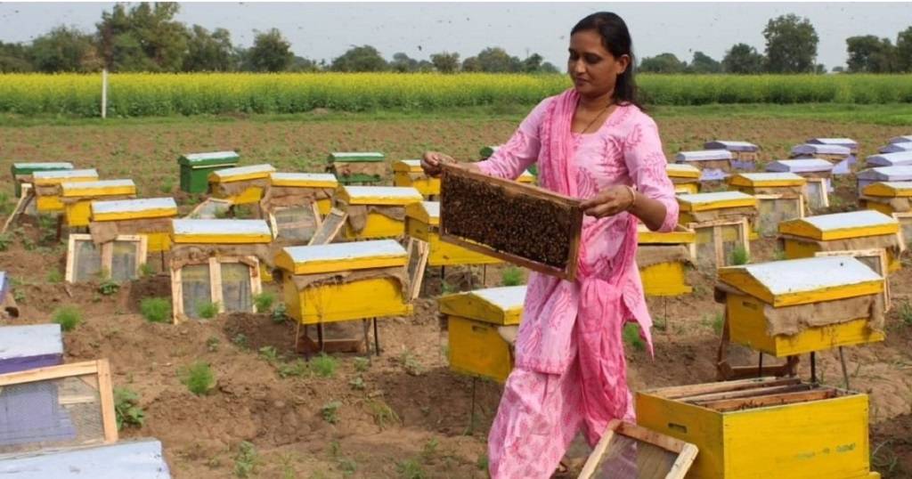 Tanvi Working In Her Bee Farm