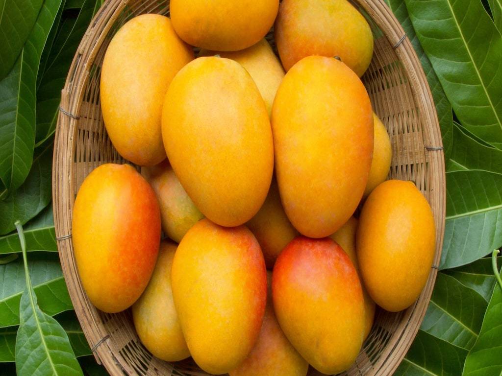 Mangoes