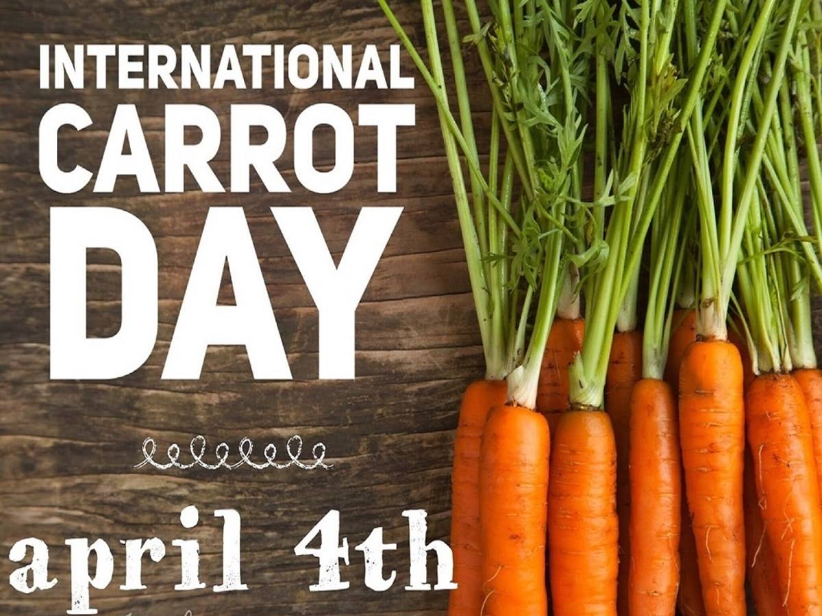 International Carrot Day 4th April 2022 Know the History & Significance