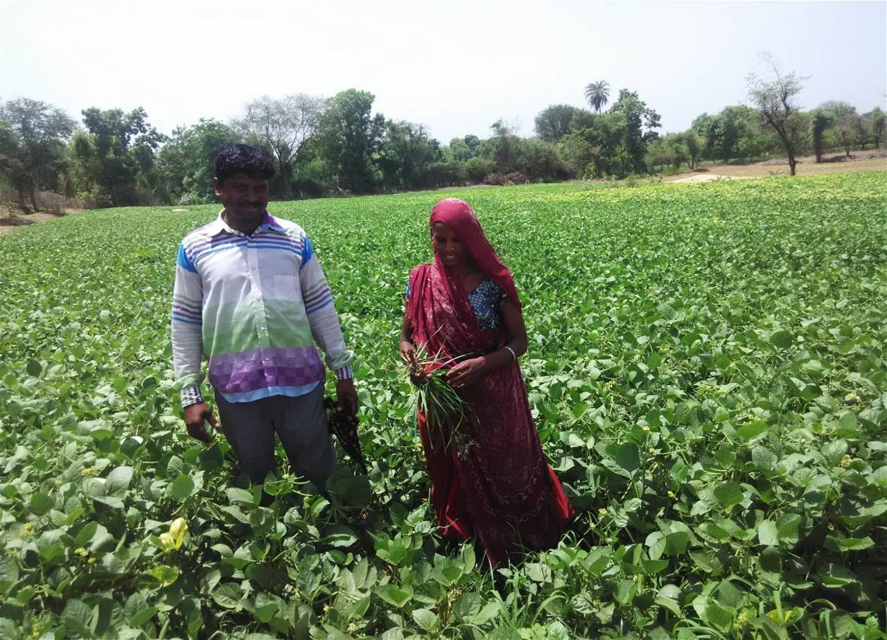 Tribal Farmers of Rajasthan in his field