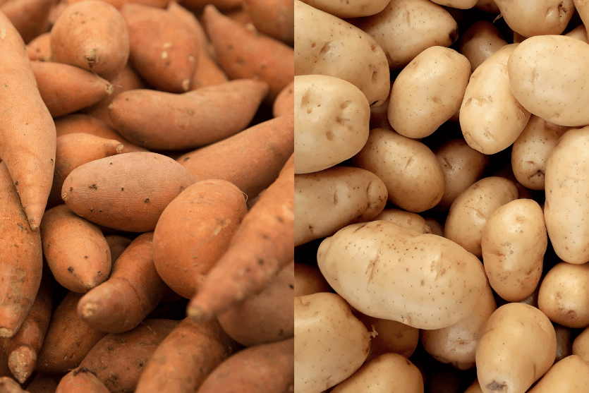 Sweet potato is not connected to white potato, even though the term 'potato' is added after the word 'sweet.'