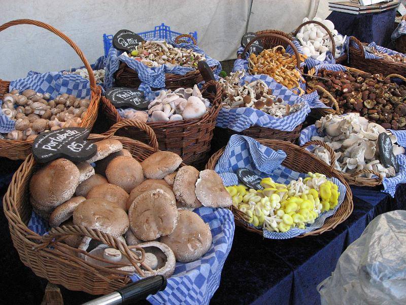 Mushroom Varieties