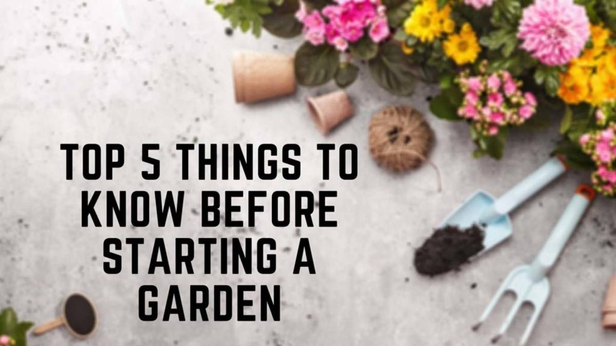 5 Things You Should to Know Before Starting a Garden