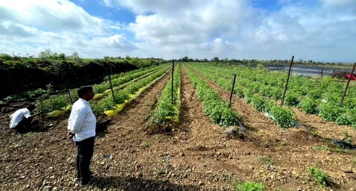 Rahul Rasal of Nighoj village in Maharashtra has a deep connection with the soil.