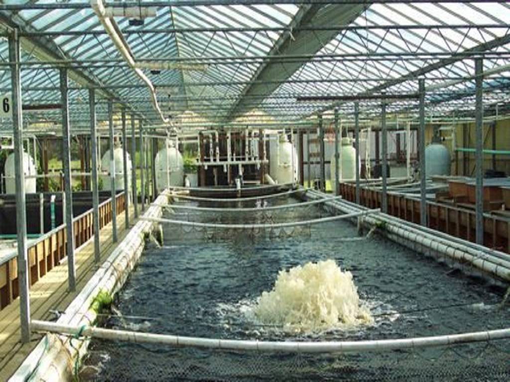 Fish Hatchery Unit