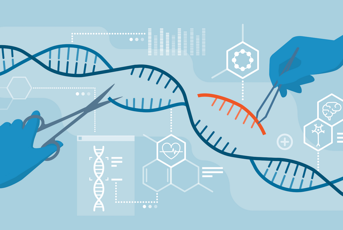 Gene editing can be used to achieve the same goals as traditional crossbreeding in agricultural applications.