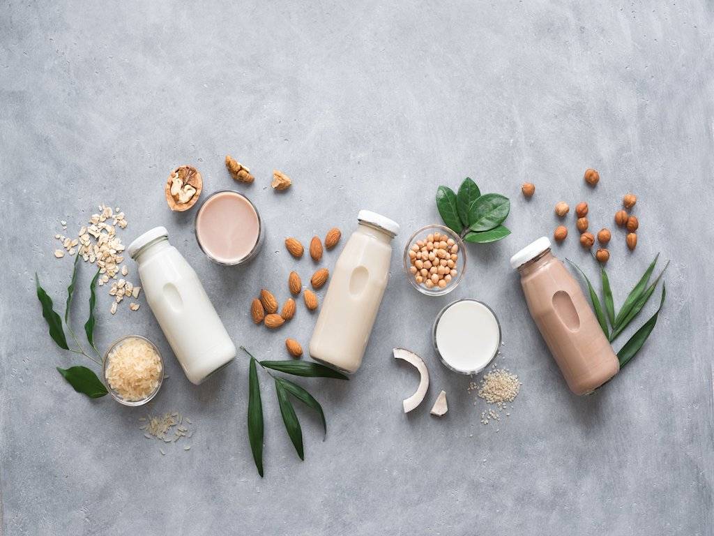 Plant-Based Milk Alternatives