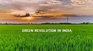 Green Revolution Quiz