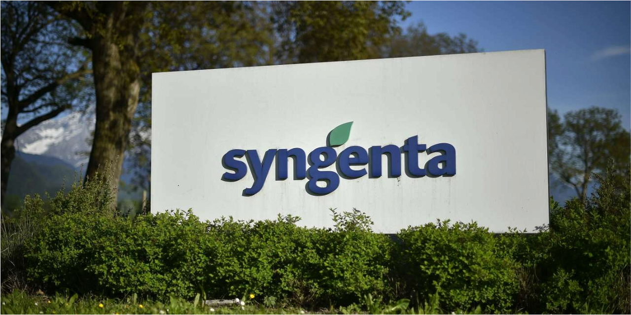 Syngenta- Growth of 23% in Sales