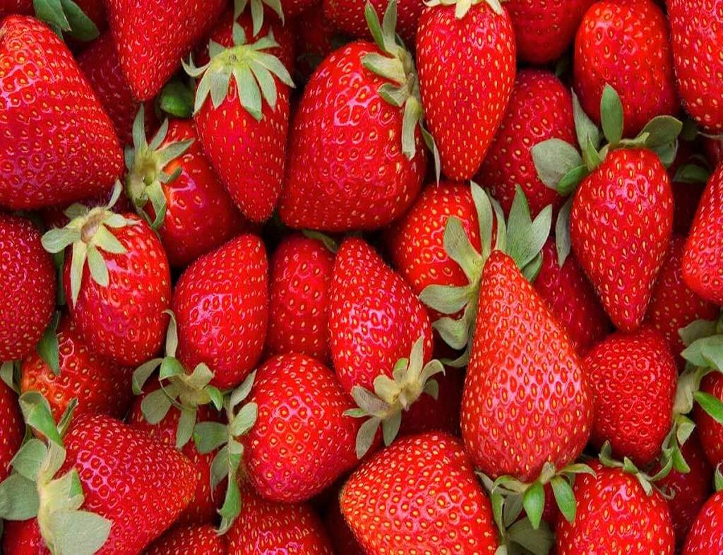 Strawberry is one the top contaminated food items enlisted in the EWG's annual report