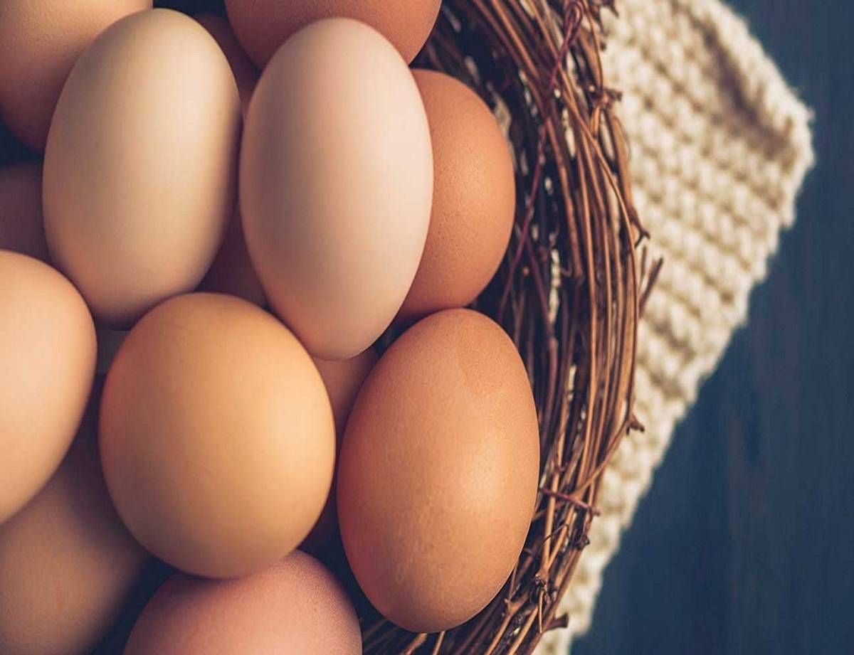 Ukraine's egg production decreased by 25% ( around 3 billion eggs) in 2021 in comparison to 2020, as per press reports from that nation.