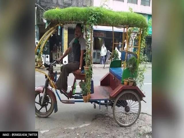 Man Growing Mini Garden On The Roof Of Rickshaw