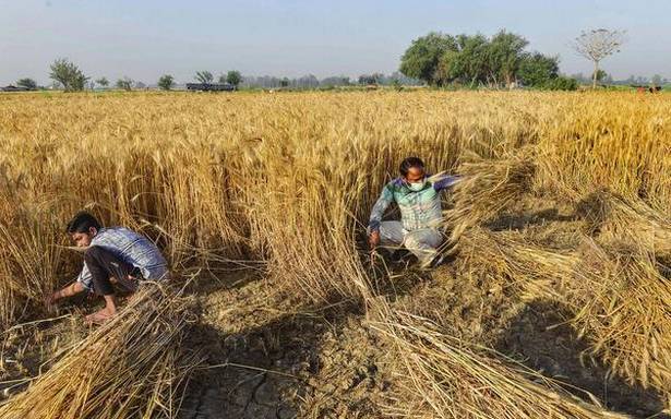 Wheat Harvest manually