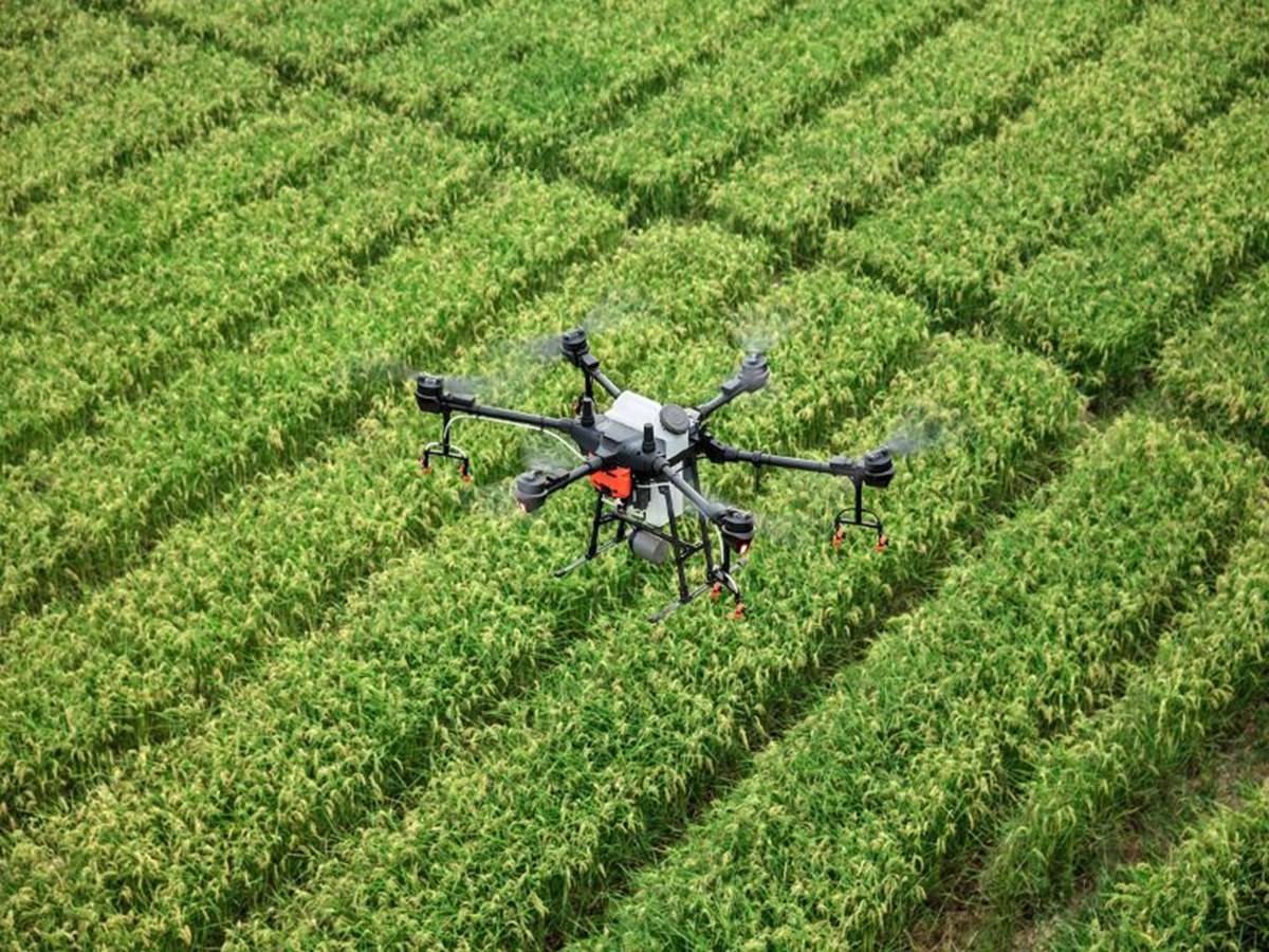 Kerala Farmers Boost Farming Activities Using Drones 3606