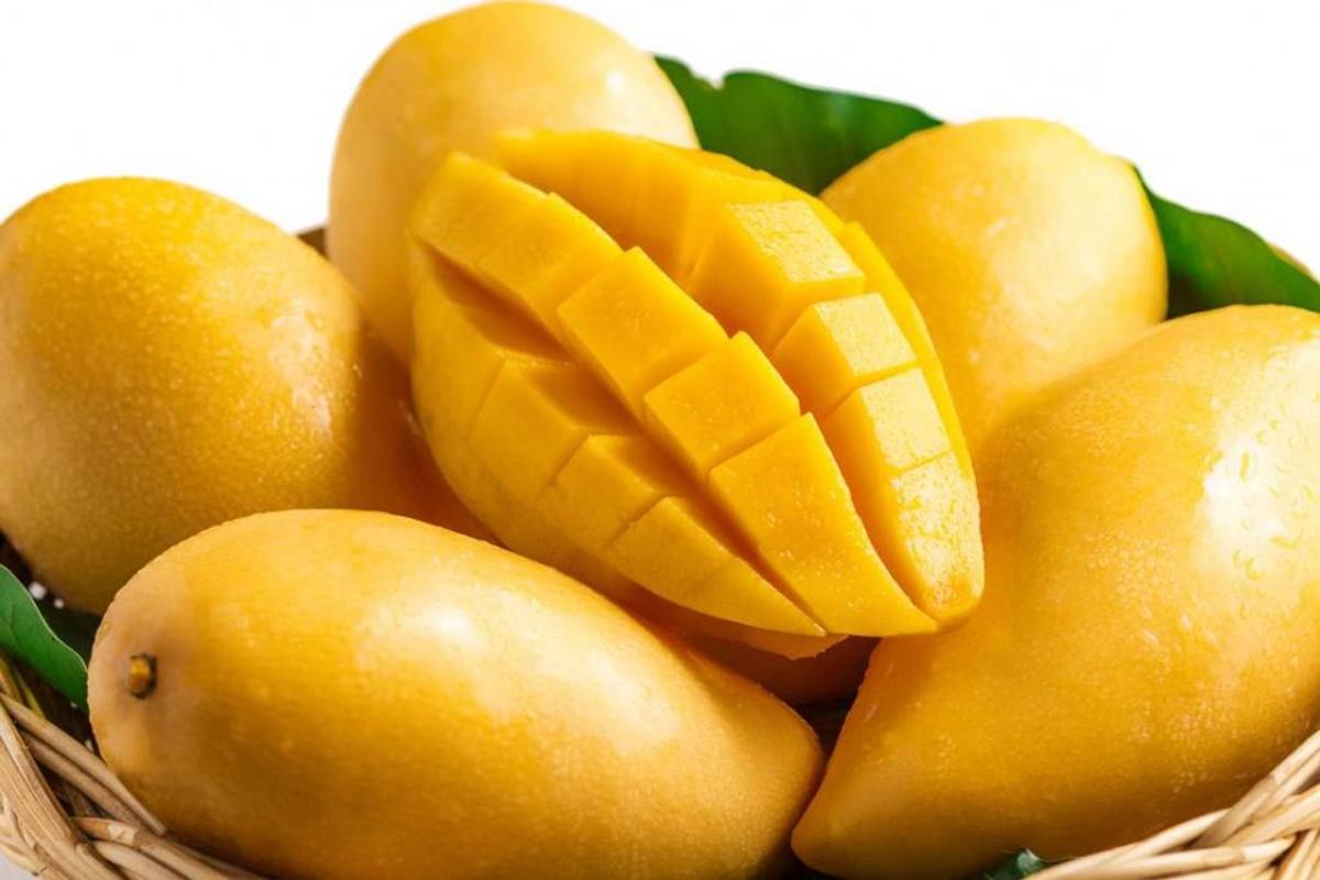 Mangoes - The King of Fruits is Good for Weight gain or loss