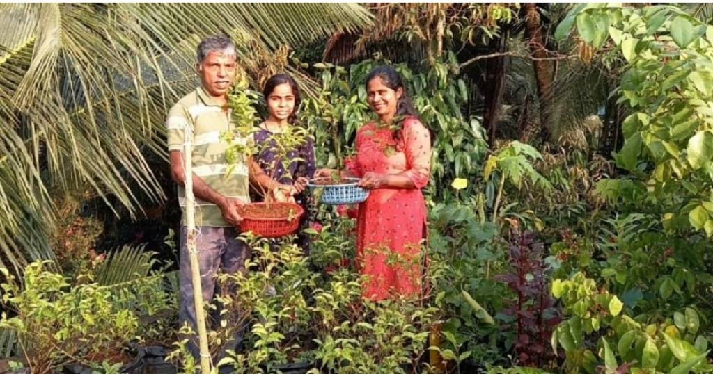 Hydroponic gardening is a type of hydroculture in which the crops are grown in water without the soil