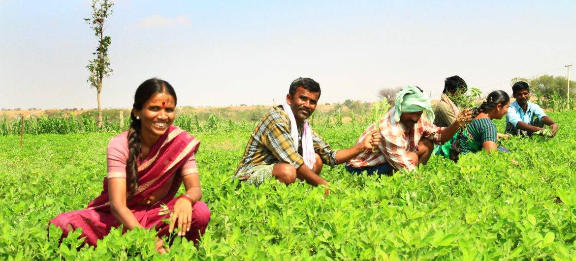 Retired Teacher Introduces Annapoorna Crop Model, Help Farmers Earn up ...