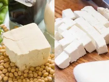 Tofu Vs Paneer: Which One To Choose?