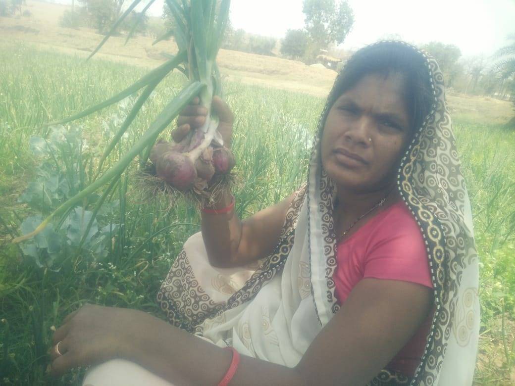 A Rajasthani Tribal Women Working in her Field