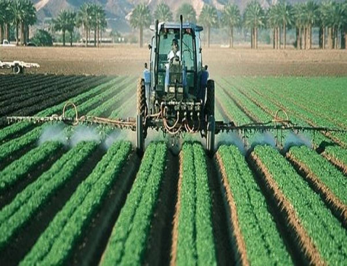 Intensive Farming is a farming system that employs a large amount of labor and capital in relation to land area.