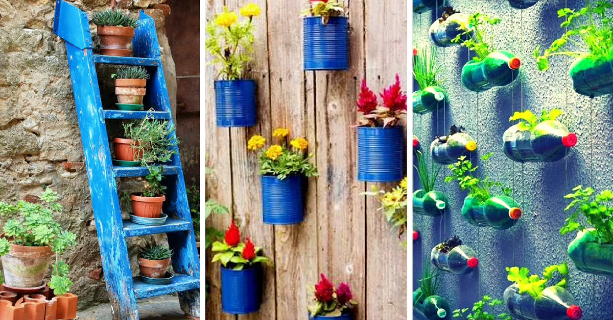 A vertical garden has many perks, including creating a green cover that purifies the air and attracts birds and butterflies.