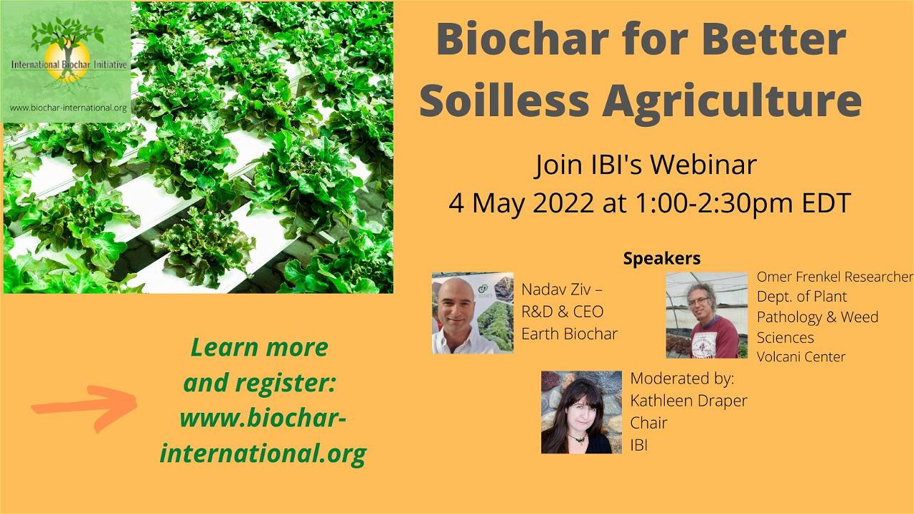 Biochar for Better Soilless Agriculture