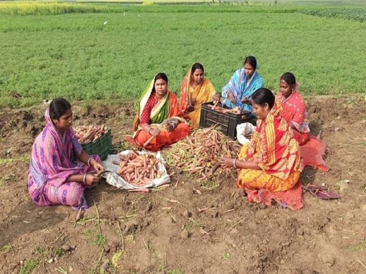A horticulture-based creative endeavour has been launched to provide a robust livelihood for the women of Sakhi Mandal.