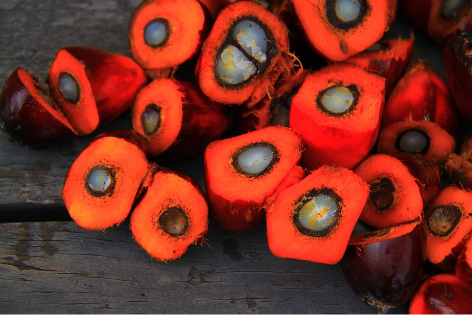 The worldwide demand for palm oil has accelerated, leading to a rise in exports from Indonesia