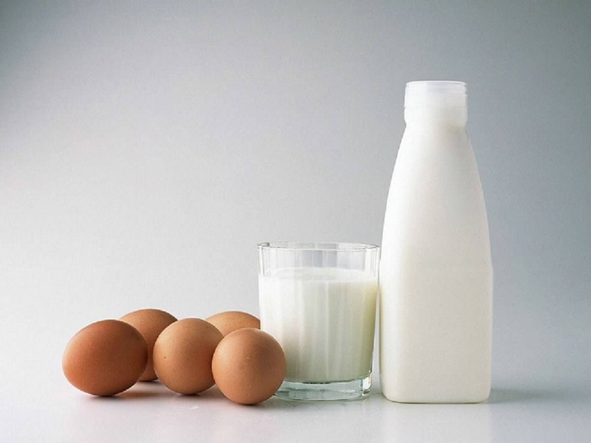 Is it Safe to Consume Eggs and Milk Together?