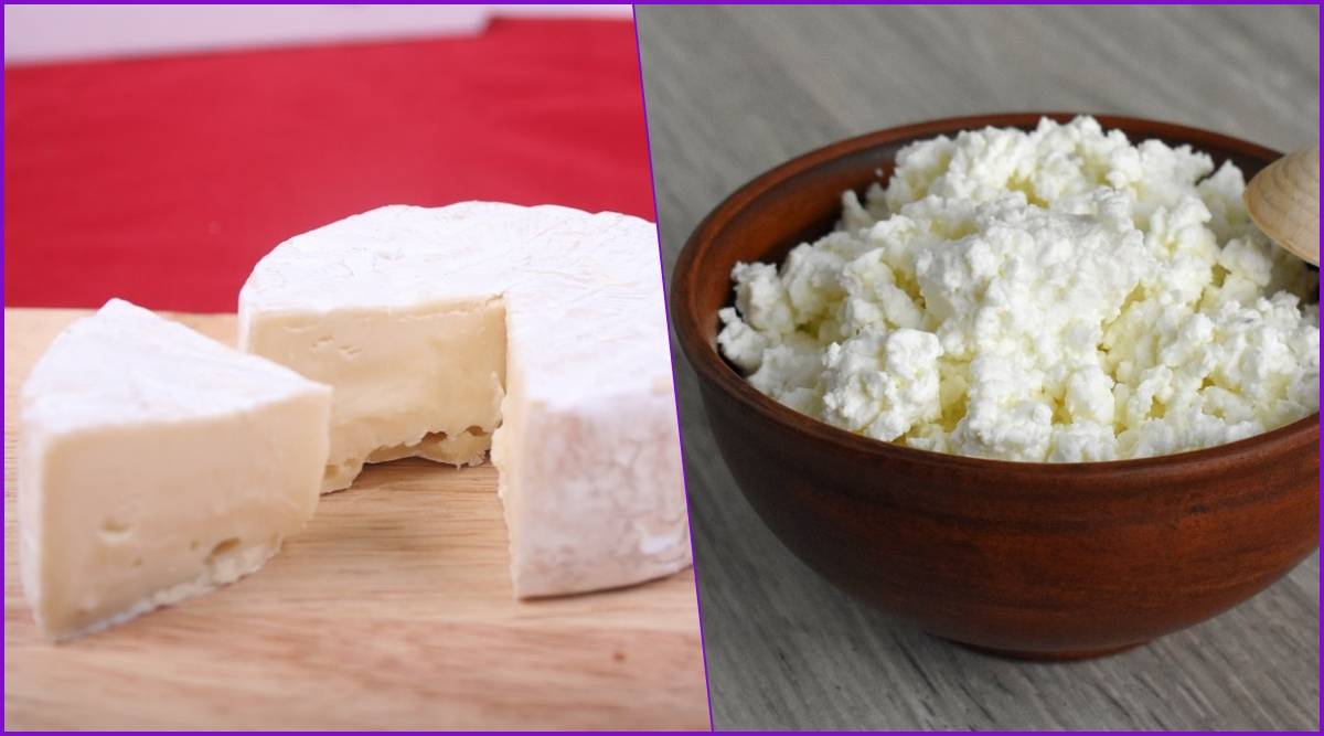 Cheese vs Paneer