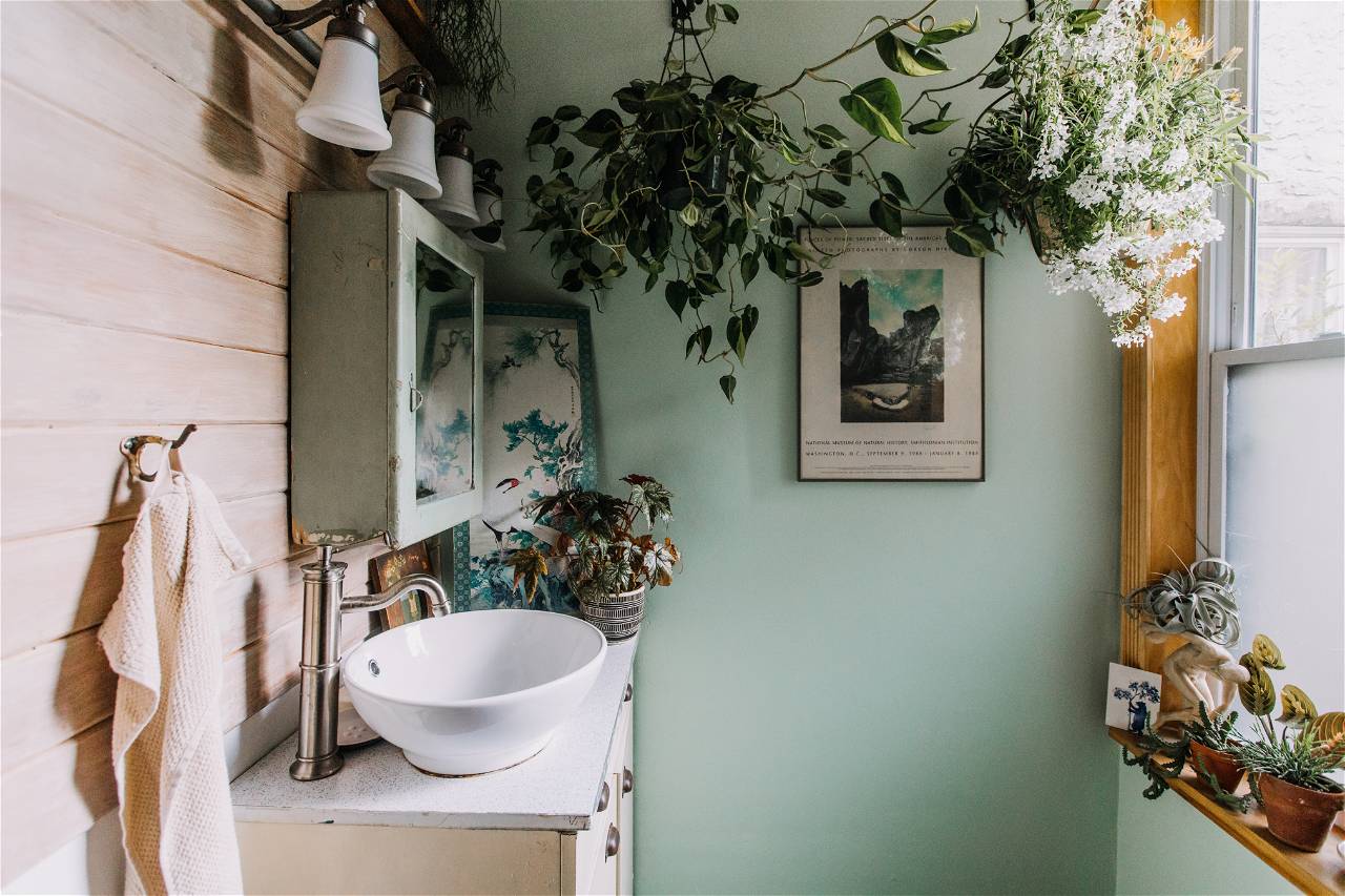 Add plants to your bathroom if you want to make it more modern.