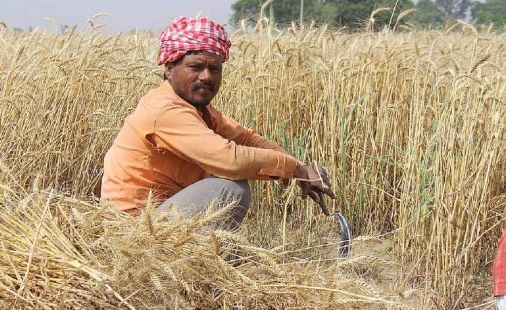 Over one crore farmers are expected to tune into the minister’s speech through gram sabhas, primary agri cooperative societies (PAC), common service centers (CSCs), and farmer producers organizations (FPOs).