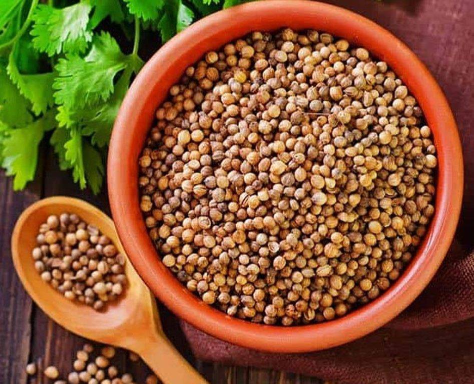 Coriander leaf and its Seeds