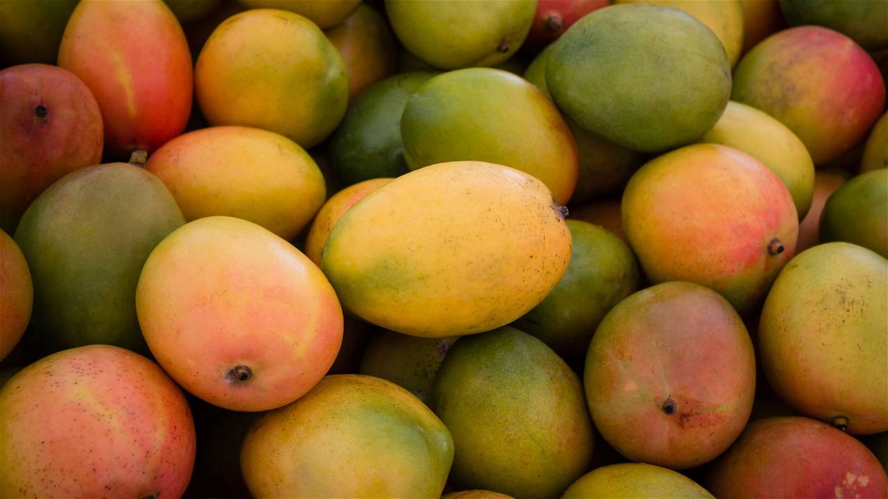 Ethylene is used to ripen fruits like mangoes at controlled levels in a chamber.