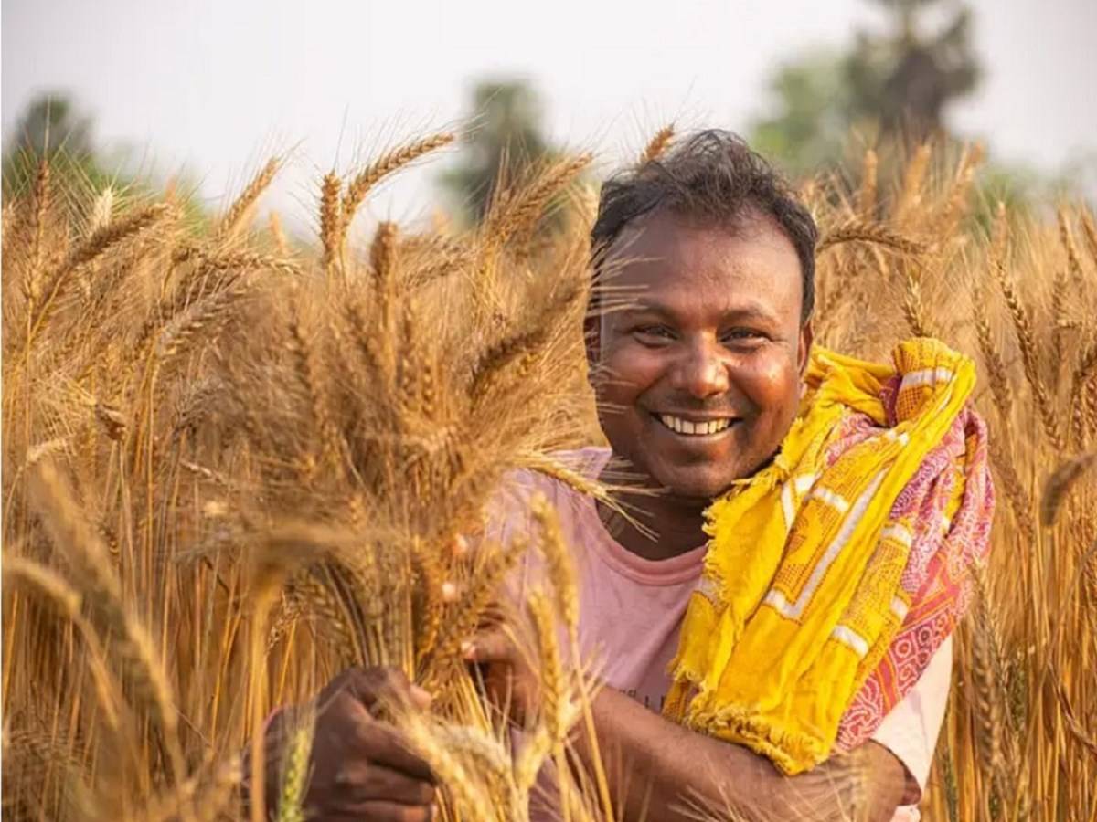India's sales are helping to fill a supply gap in international wheat markets caused by Ukraine-related interruptions.