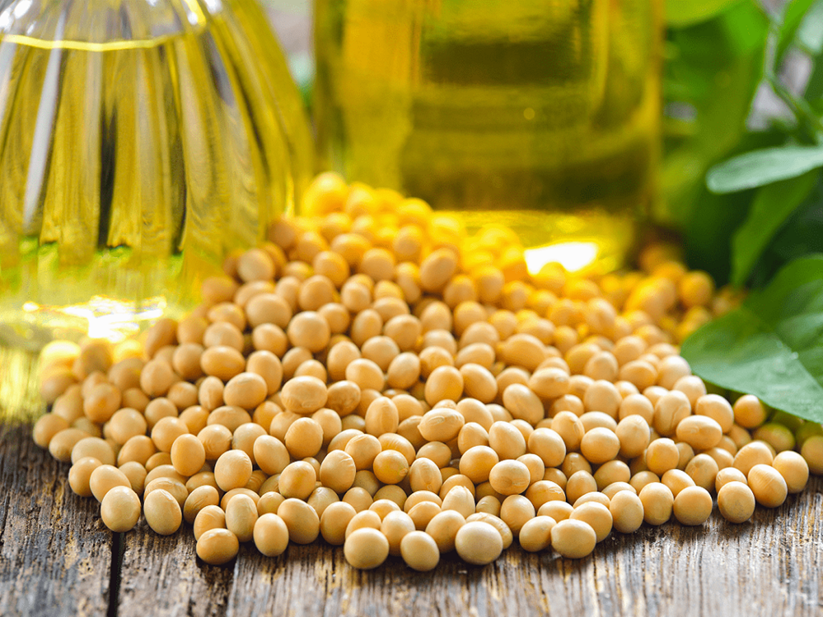 Soybeans are mostly made up of protein, but they also include significant amounts of carbohydrates and fat.