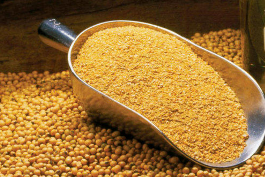 Picture of Soymeal