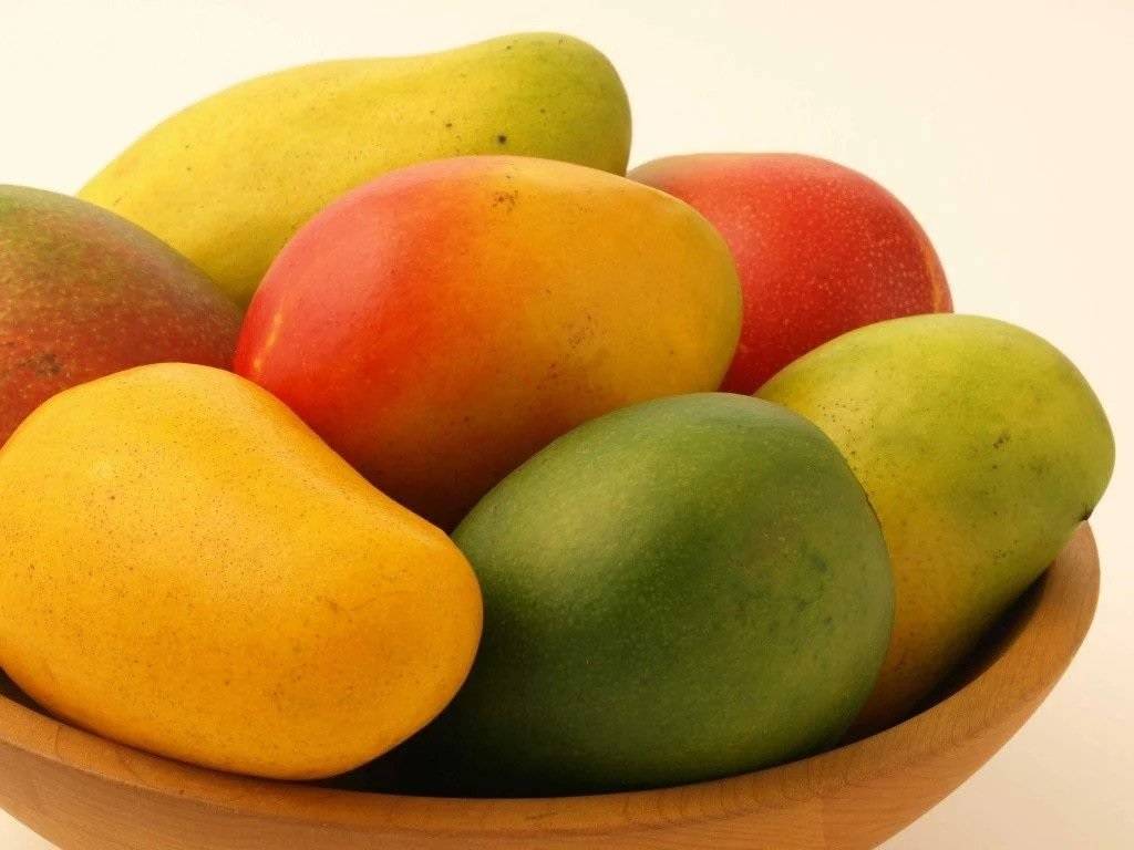 Totapuri Mangoes